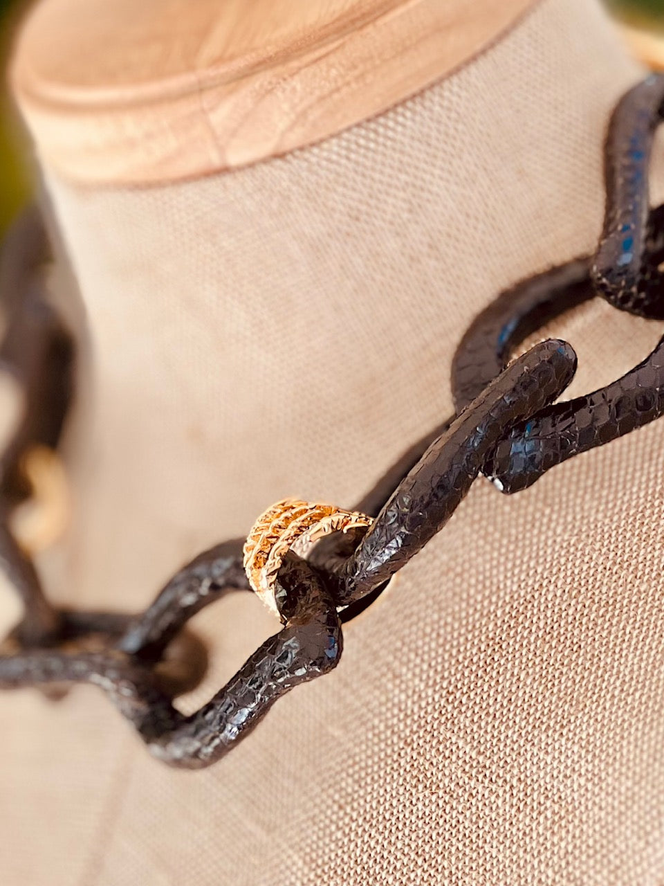 Collar snake Taylor