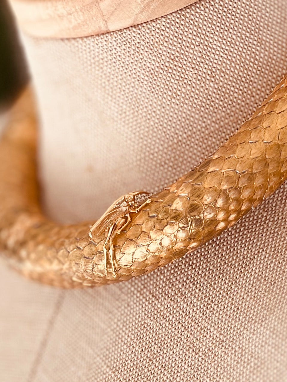 Chocker pitón gold Luna